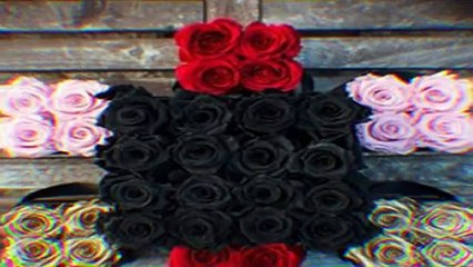 Flowers in a box Chicago