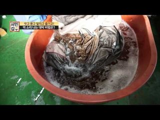 [선공개] 매출의 비결, 텐트별 맞춤세탁!