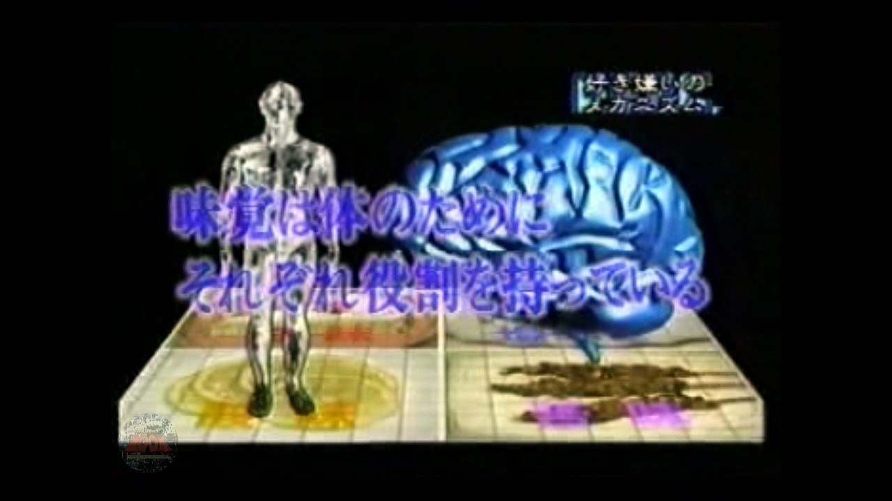 【特命リサーチ200X】 19980125 なぜ食べ物の好き嫌いがあるのか（好き嫌い）