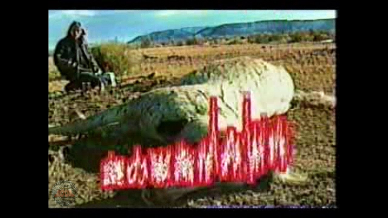 【特命リサーチ200X】 19980621 キャトルミューティレーションの謎（キャトルミューティレーション）