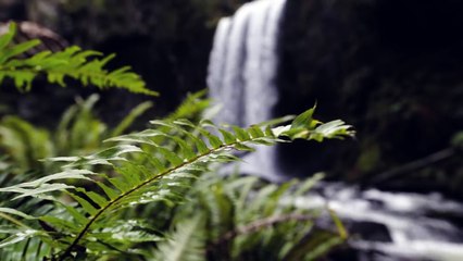 Kidswaste - More Colors (feat. Chelsea Cutler) (Music Video)