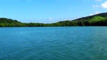 Playa punta Rucia reserva de manglares provincia Puerto Plata region norte Republica Dominicana.
