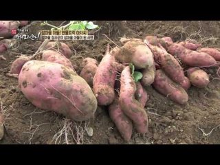 불타는 트럭 해변으로 옮긴 병도씨, 그가 섬마을 아들 된 사연