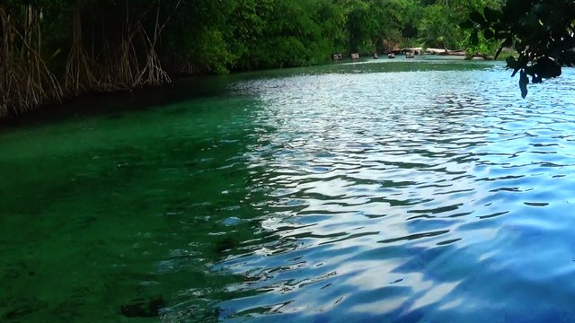 Rio Caño Frio el playa el Rincon de la provincia de Samana region nordeste Republica Dominicana.