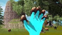 3D Animated Bear Finger Family Rhymes For Children | Top 10 Finger Family Rhymes For Children