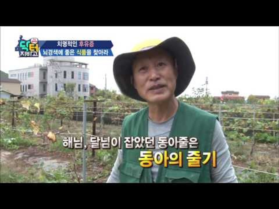 전래동화 해님달님 속 건강비법?! 혈액순환 돕는 동아!