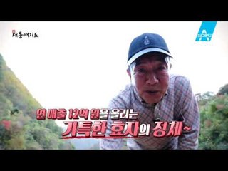 [예고] 수원에서 즐기는 윤택한 나눔 여행~