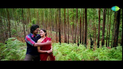 Maaveeran Kittu Kannadikkala HD Video Song | D.Imman | Vishnu Vishal | Sri Divya