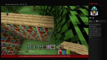 Minecraft #5 Nuevas Actividades (134)