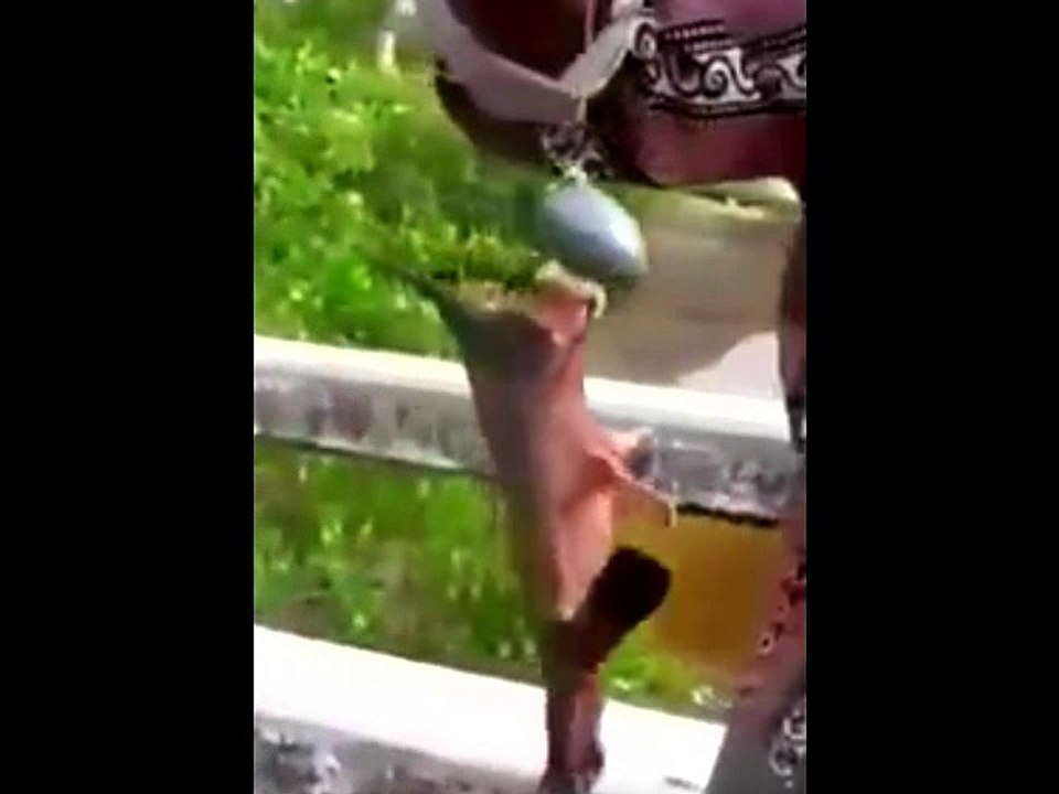 STRANGE RARE ANIMALS11