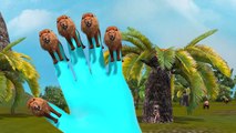 Top 3D Animated Lion Finger Family Rhymes For Children | Lion Finger Family Songs