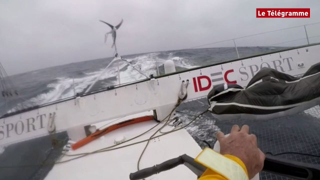 Trophée Jules Verne. Idec Sport : le 1er janvier sous la tempête