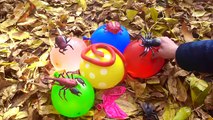 Insects Finger Family Song with Mega Wet Ballons - Learn Colors with Nursery Rhymes Songs for Kids