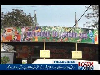 NewsONE Headlines 9PM, 1-Jan-2017