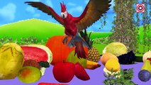 Fruits & Vegetables for Children | Learn Vegatables Names & Fruits Names | Kids Learning Videos