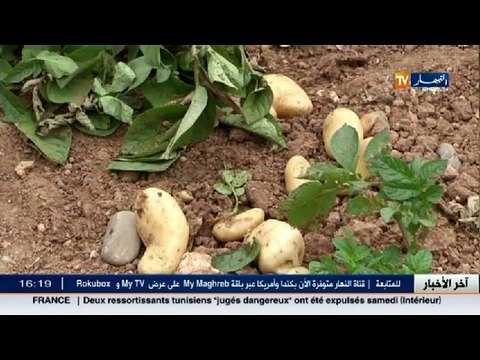 ارتفاع التكاليف هاجس يهدد مستقبل الفلاحين