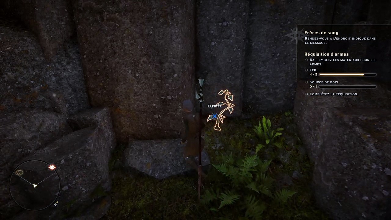 Dragon Age™ : Inquisition