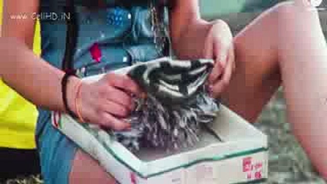 Rehti Thi Main Bezarsi - Club Dancer