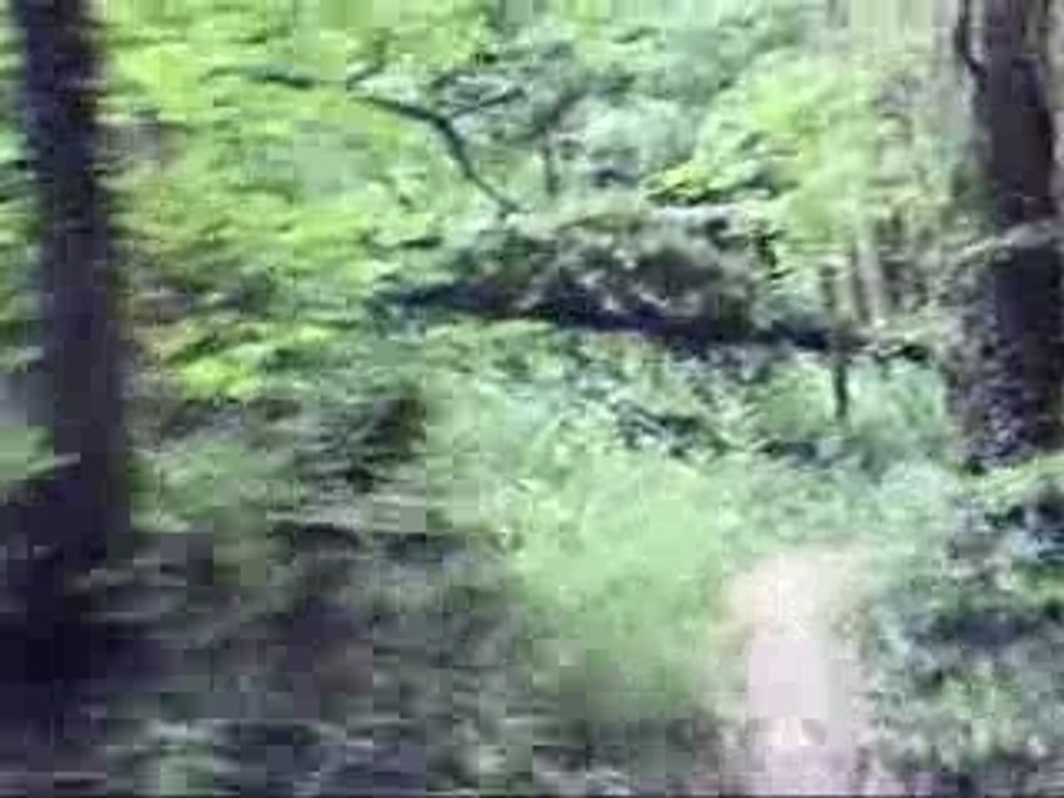 Test 5