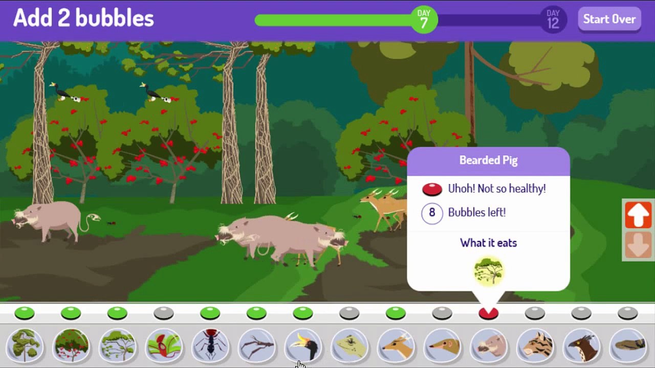 Plum Landing Jungle Jeopardy Cartoon Animation PBS Kids Game Play Walkthrough