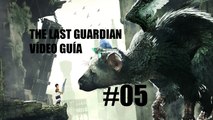 Video Guía, The Last Guardian - Los ojos