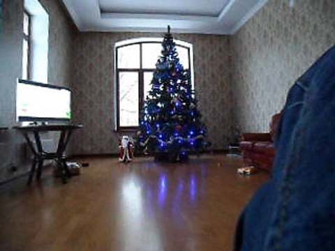 Видео В гостях у ёлки — Геннадий Горин снимает ёлку — Ёлка 2017 год