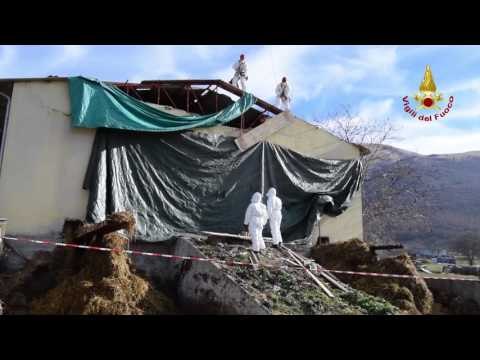 Norcia - Terremoto. Copertura tetto stalla (01.01.17)