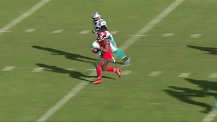 Jacquizz Rodgers gains 17 yards