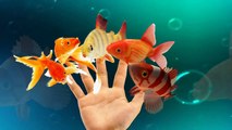 Fish Cartoons Finger Family Children Nursery Rhymes | Fish Finger Family Nursery Rhymes For Children