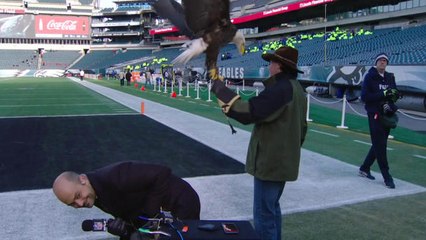 Mike Garafolo tries to hide from bald eagle