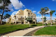 fully finished apartment 250 m2 for sale in palm parks resale