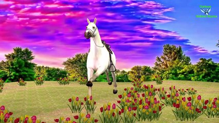 Learning Animals Music English Nursery Rhymes For Children | 3D Animation Song For Kids