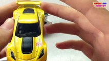 HOT WHEELS Toy Car: Corvette C7.R vs TOMICA Fiat 500 | Kids Cars Toys Videos HD Collection