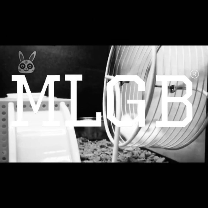 [FurryFriends]EPIC CRAZY Hamster Fight 2017 New Year Special Edition -- My Life Is Getting Better