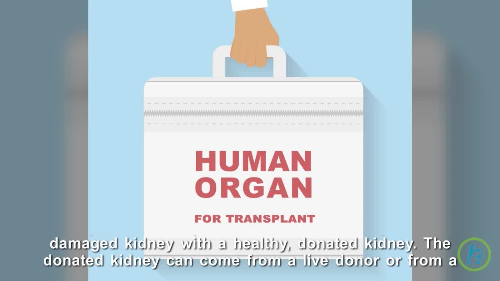 ⁣Kidney Transplant Explained