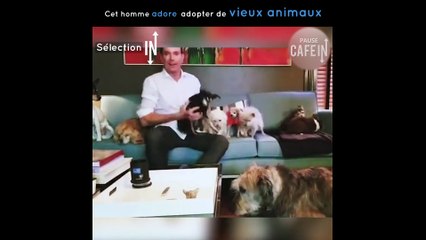Cet homme adopte uniquement des vieux animaux
