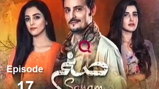 Sanam Episode 17 Hum TV 2nd January 2017