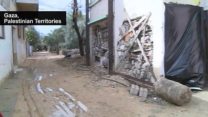 Artist brings beauty to war-damaged Gaza home