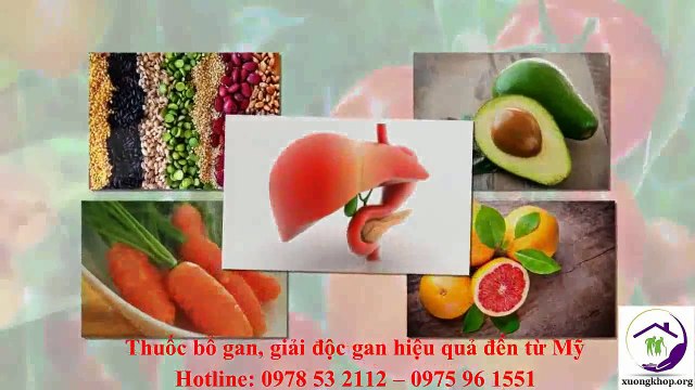 Những thực phẩm giúp giải độc và bảo vệ gan hiệu quả