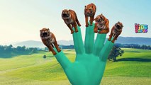 Tiger Cartoon Finger Family Rhymes | Animal Finger Family Nursery Rhymes