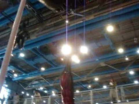 Annette Messager à Pompidou