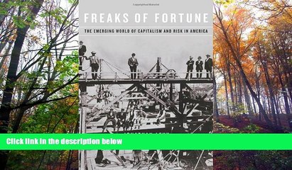 Read  Freaks of Fortune: The Emerging World of Capitalism and Risk in America  Ebook READ Ebook