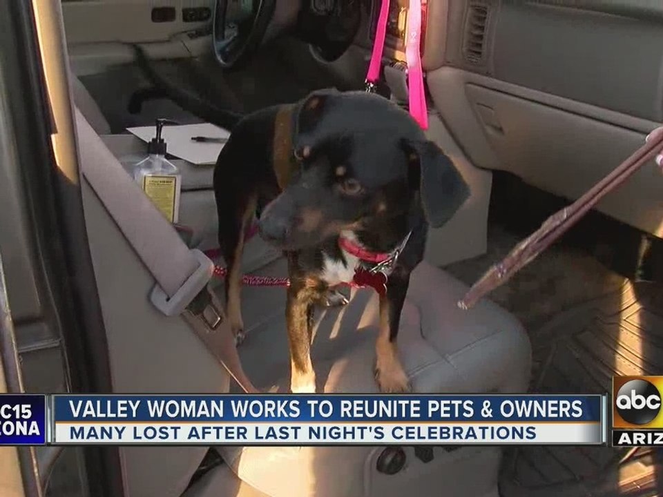 Woman spend New Year’s Eve, New Year’s Day searching for lost pups