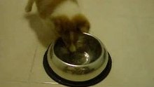 Playing with icecube