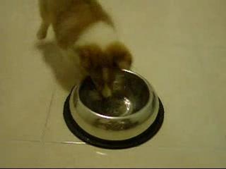Playing with icecube