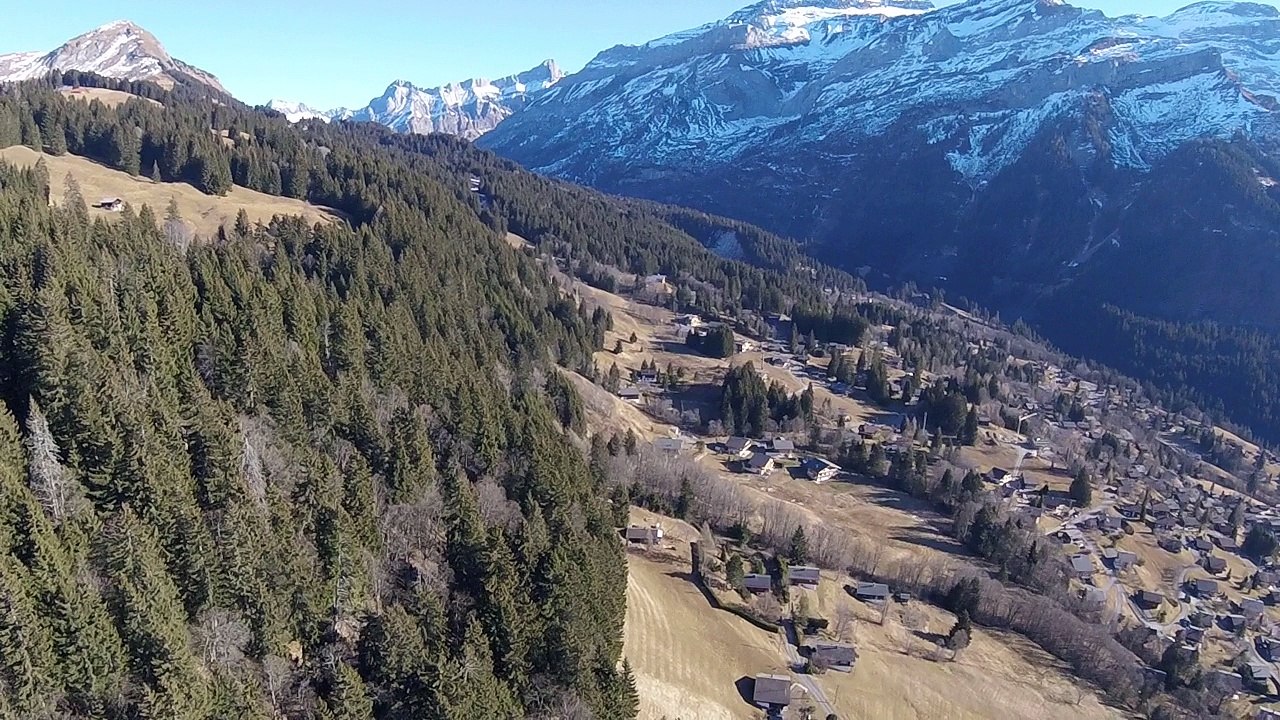 Vol en parapente aux Diablerets
