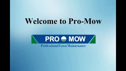 Lawn Care By Professionals