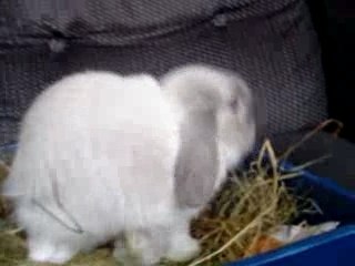 Bailey shows Leanne what he got her for her birthday