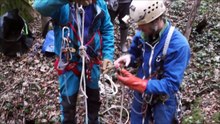 Coincé dans un abysse, un cerf sauvé de justesse d’une mort certaine !
