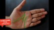 IF YOU HAVE THE LETTER “M” ON YOUR PALM, IT MEANS SOMETHING SPECIAL - ALL ABOUT YOUR HEALTH